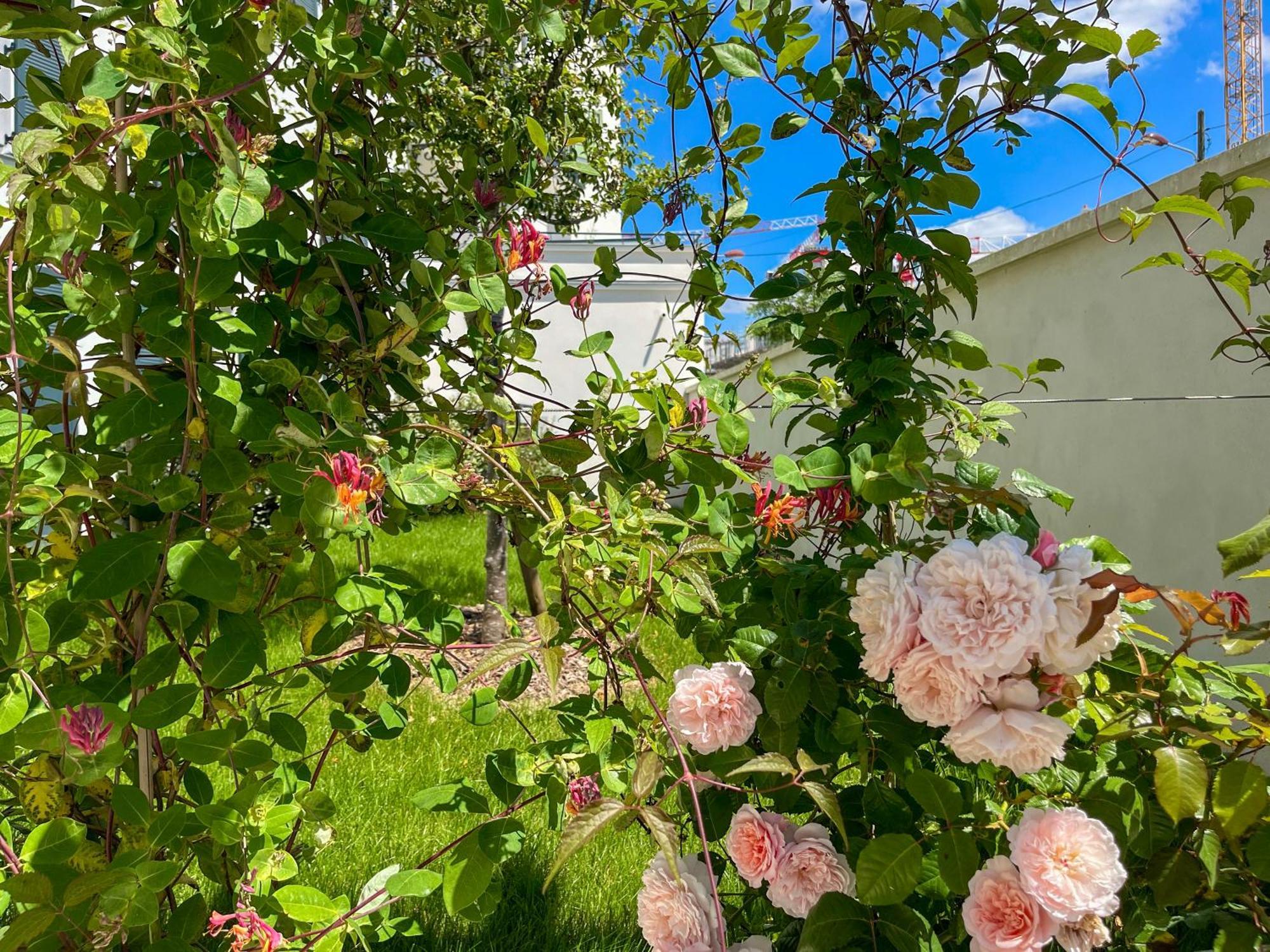 Enjoyable Apartment Disneyland - Rentaway Bnb Serris Kültér fotó